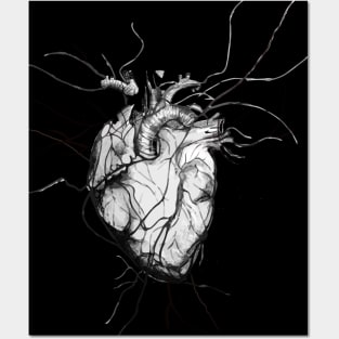 Anatomical Heart heart disease awareness Posters and Art